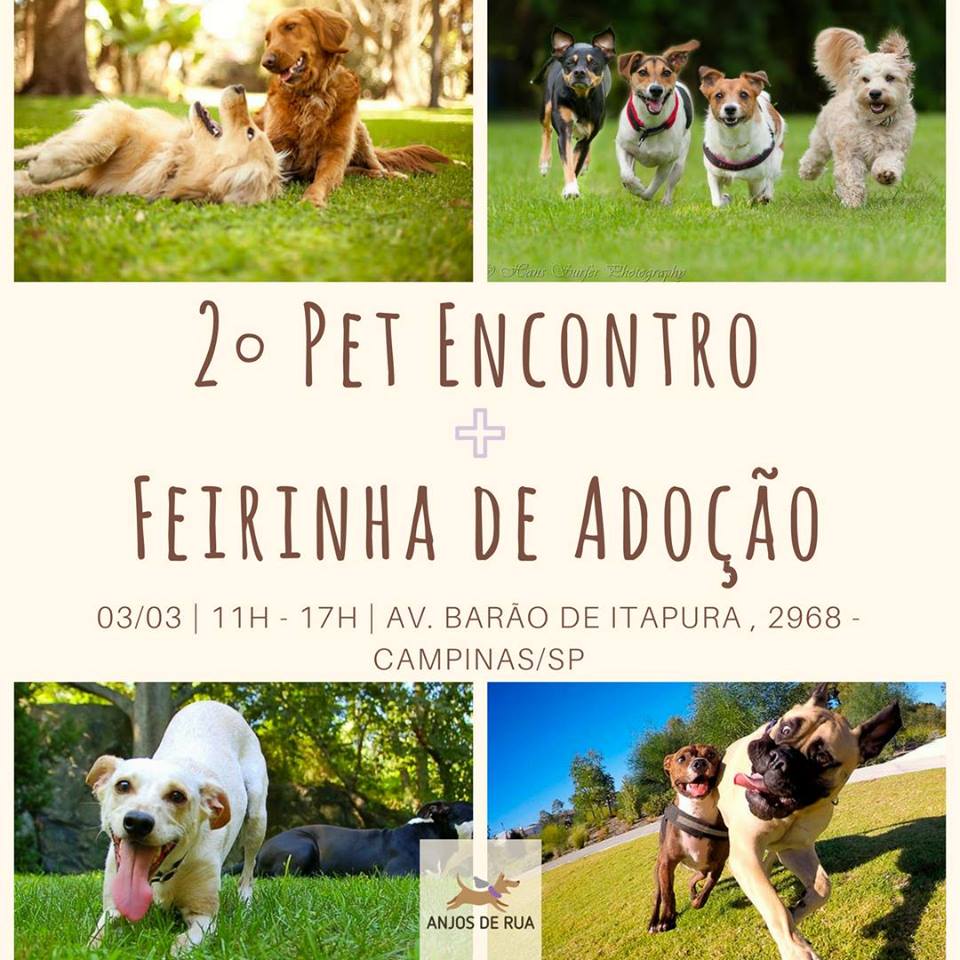 2°-Pet-Encontro-Feirinha-de-Adoção